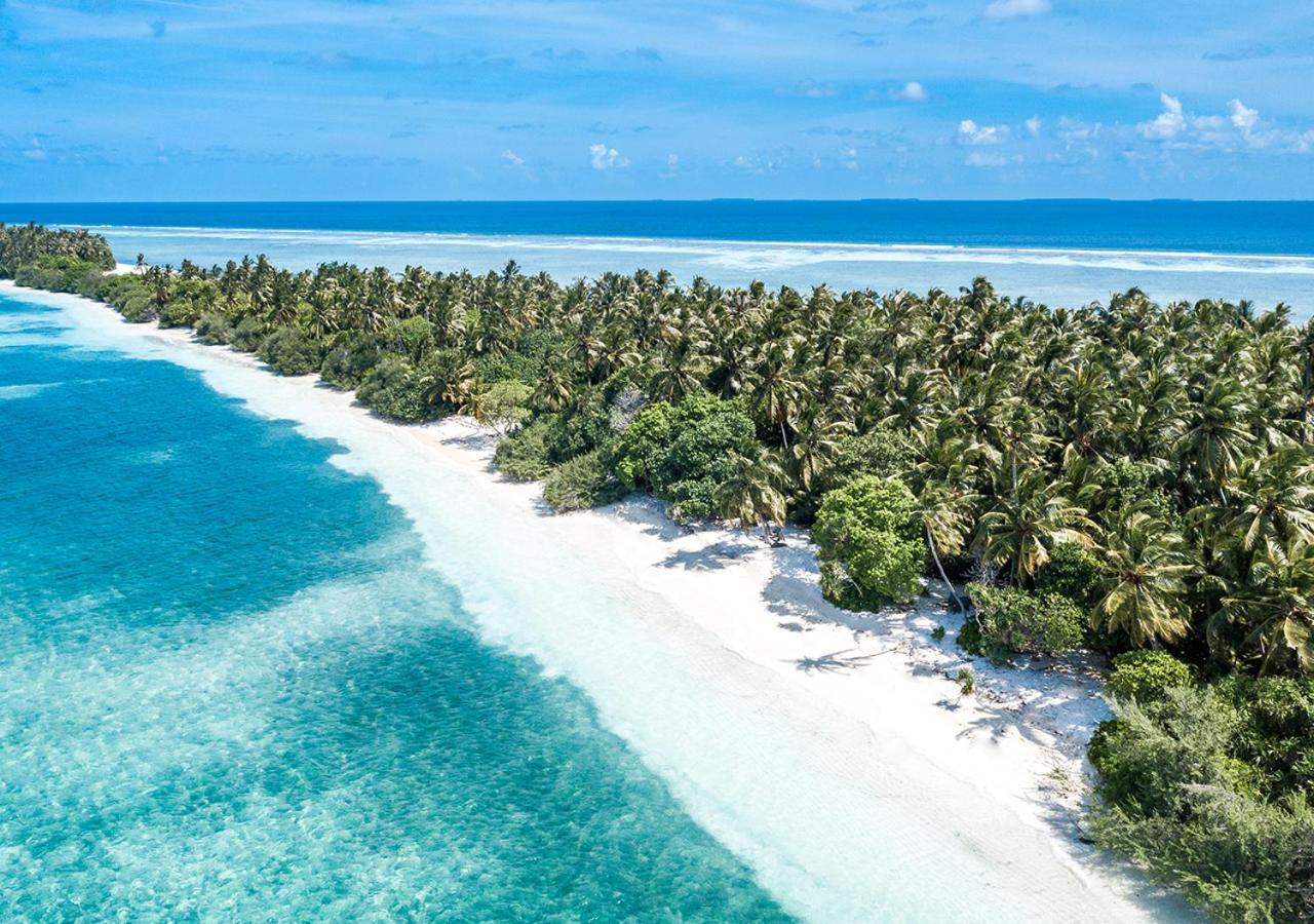 Hotel Tropical Tree Fehendhoo Exteriér fotografie